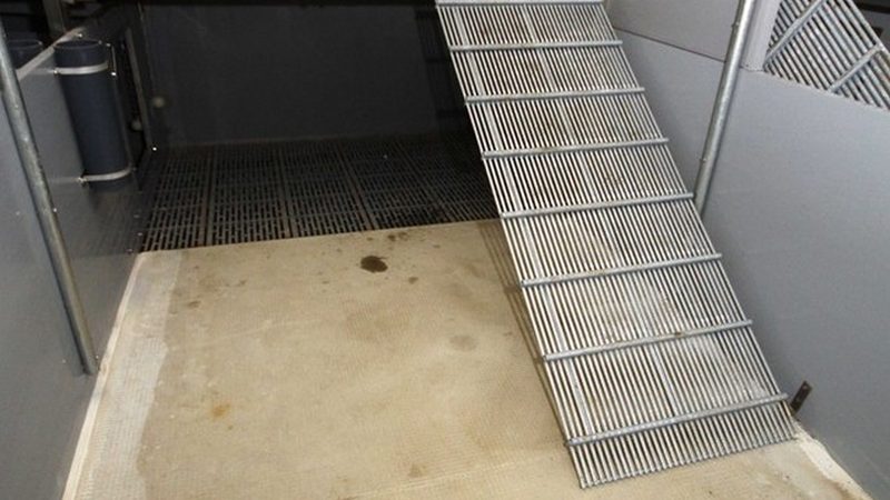 上海跨境电商选品公司：规模背后的选品智慧