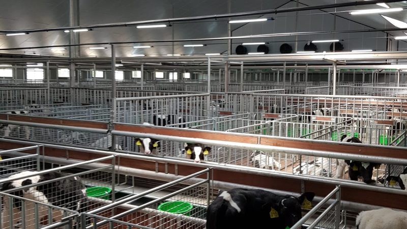 广州电商培训课程分类解析：助你提升电商运营能力